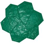 FSGREEN